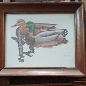 Framed Duck Art Print